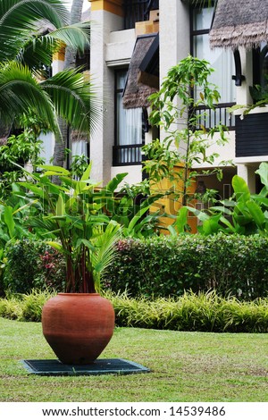 Potted plants and native trees in a beautiful tropical garden.