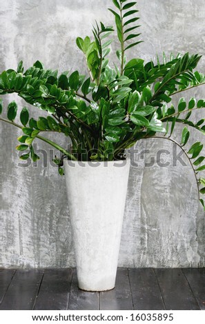 Modern Pot Plant