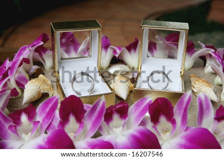 stock photo Silver wedding bands displayed with sand and shells beach 
