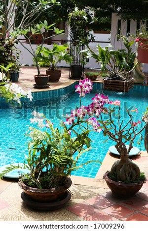Beautiful swimming pool in the courtyard of a house in Thailand.