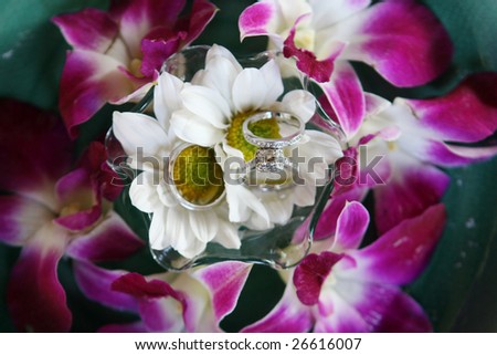 stock photo Silver and diamond wedding rings set amongst flowers