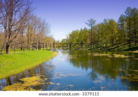 the pond in park at spring sunny day