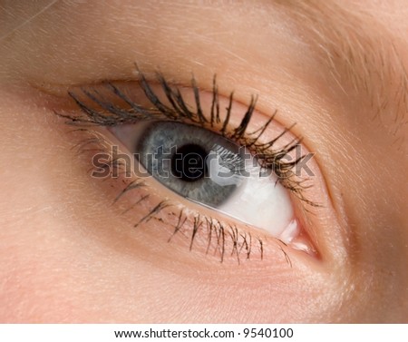 the human wide open blue eye macro