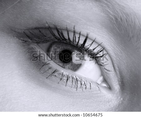 the human wide open eye, black and white