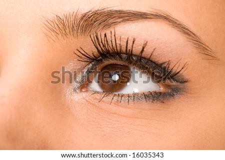 female wide open brown eye with long eyelashes macro