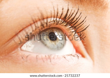 female wide open eye with long eyelashes macro