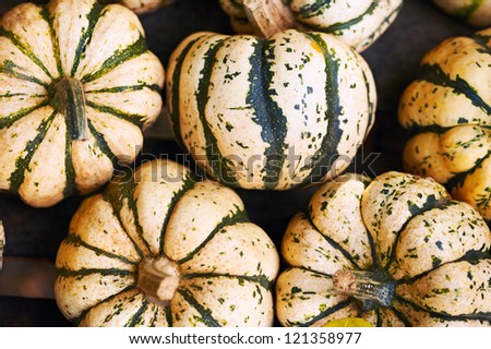 Striped pumpkins background, white and green