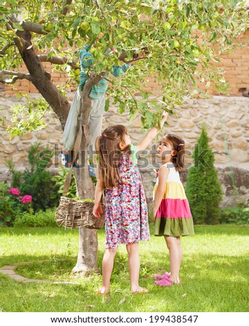 Three childs taking apples from an apple tree in their back yard