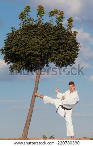 Young man practicing martial arts in nature