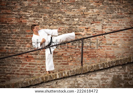 Martial artist executing a side kick in front of a brick wall