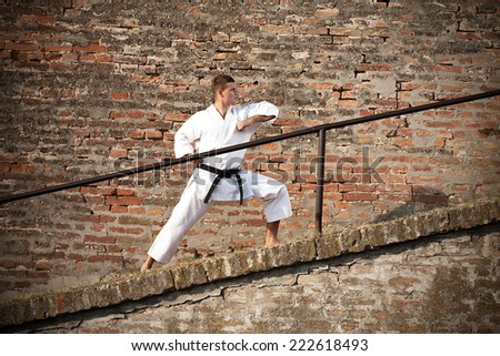 Martial artist in fighting stance in front of a brick wall