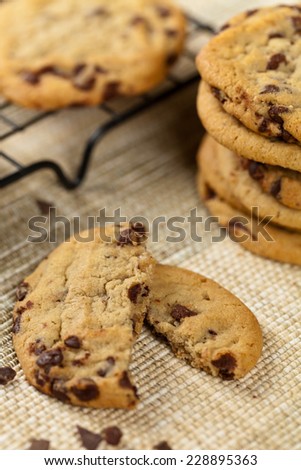Chocolate Chip Cookie. Macro. Selective focus. Extreme shallow DOF.
