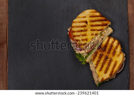 Grilled Tuna Panini Sandwich. Selective focus.
