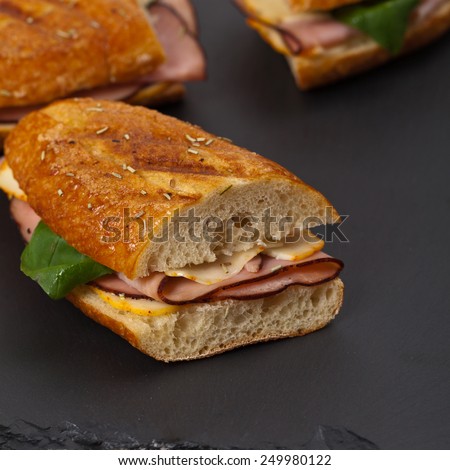 Grilled Ham and Cheese Panini Sandwich. Selective focus.