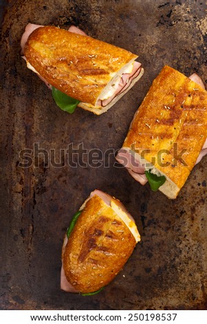 Grilled Ham and Cheese Sandwich. Selective focus.