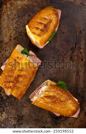 Grilled Ham and Cheese Sandwich. Selective focus.
