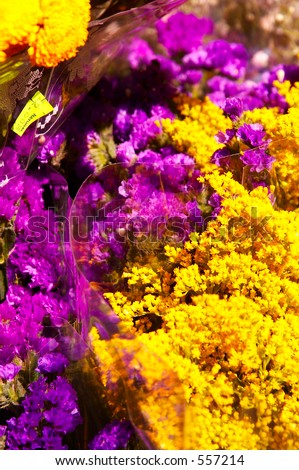 Flowers Shop on Bunches Of Erica Flowers For Sale In A Flower Shop Stock Photo 557214