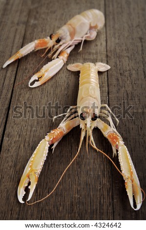 Couple of fresh shrimp scampi on a wooden cutting board