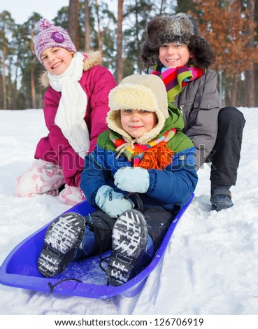 Children on sleds in snow forest. Vertical view.
