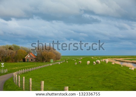 Traditional Dutch landscape with road, dike, river, house.