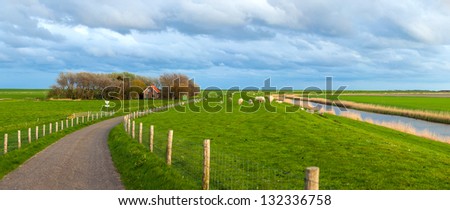 Traditional Dutch landscape with road, dike, river, house. Panorama