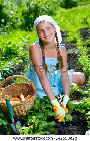 Vegetable garden - little gardener girl collects vegetables in a basket organic carrots and beets