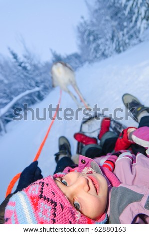 Riding A Reindeer