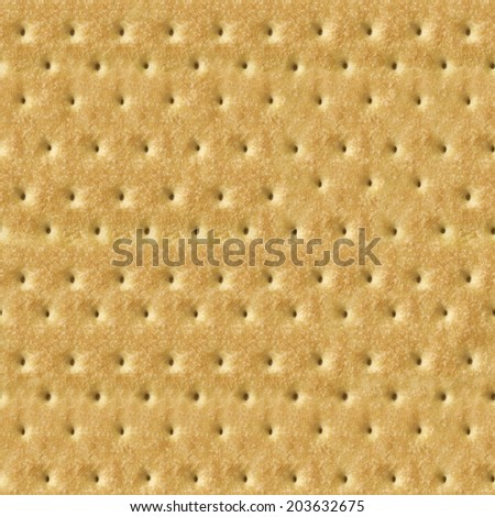 Seamless Detailed Salty Cracker Close-Up Texture
