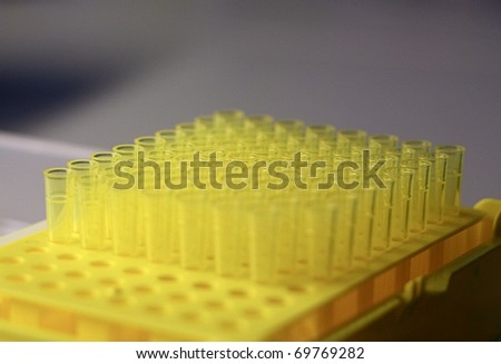 yellow pipette tips in a row ready to use