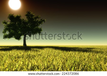 Lonely tree in a field in the moonlight