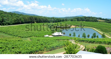 Vineyard North Georgia Wine Country USA