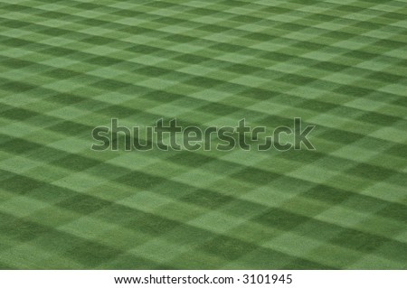 Major League Baseball Grass Turf