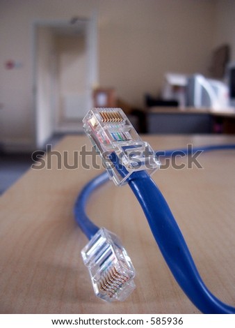 Cables used when networking computers