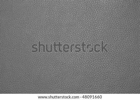 Grey Leather Texture