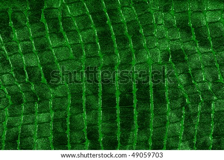 Reptile skin green texture closeup