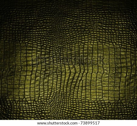 luxury dark crocodile texture