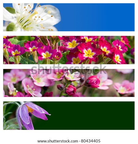 flower banner or header 4-color backgrounds set.