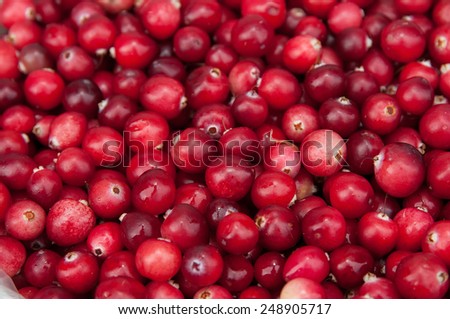 cranberry red solid background.
