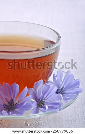 Chicory flowers and tea from chicory.