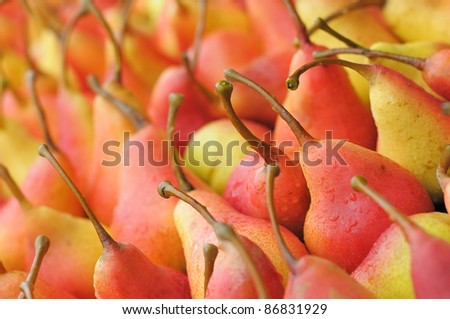 Background of ripe pears. A lot of ripe pears. Red and yellow fruits.