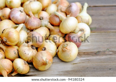 Onions on a wooden table. Bunch of ripe yellow onions.