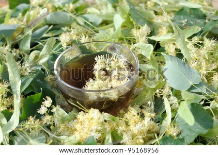 lime-tree flower and a cup of tea with lime. Linden tea