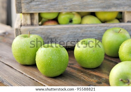 Green apples in a box. Scattered on the table apples.