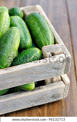 Container with fresh cucumbers. Vegetables in a wooden box.