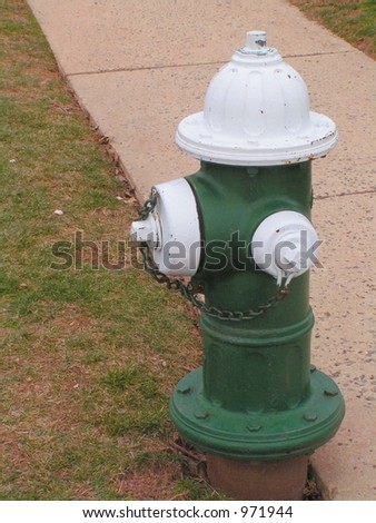 Green and White Fire Hydrant