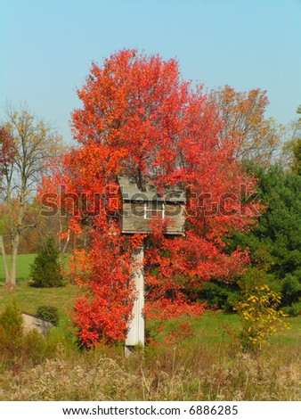 This unusual \'tree house\' appears to be built on some type of pole stucture.  Treehouse photos was taken in November when the tree is bright with fall foliage.