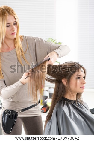 Young beautiful woman in a hair salon getting her hair cut by the hairdresser.