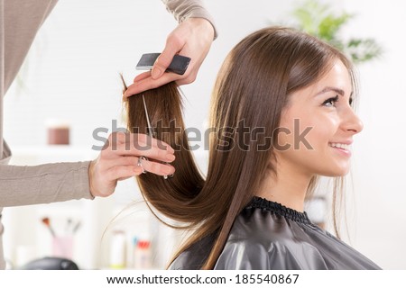 Young beautiful woman having her hair cut at the hairdresser\'s.