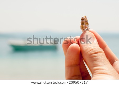Men's fingers holding seashell at beach