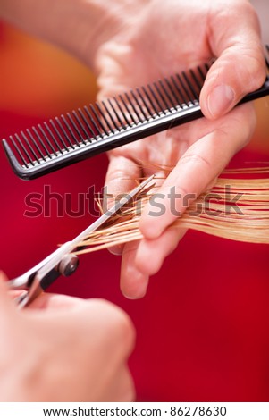 Hairdresser cut hair of a blonde woman / close-up